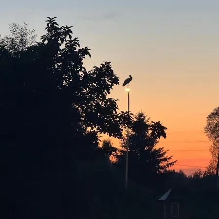 Casa de Férias Miedzy Laka A Lasem Zdzar